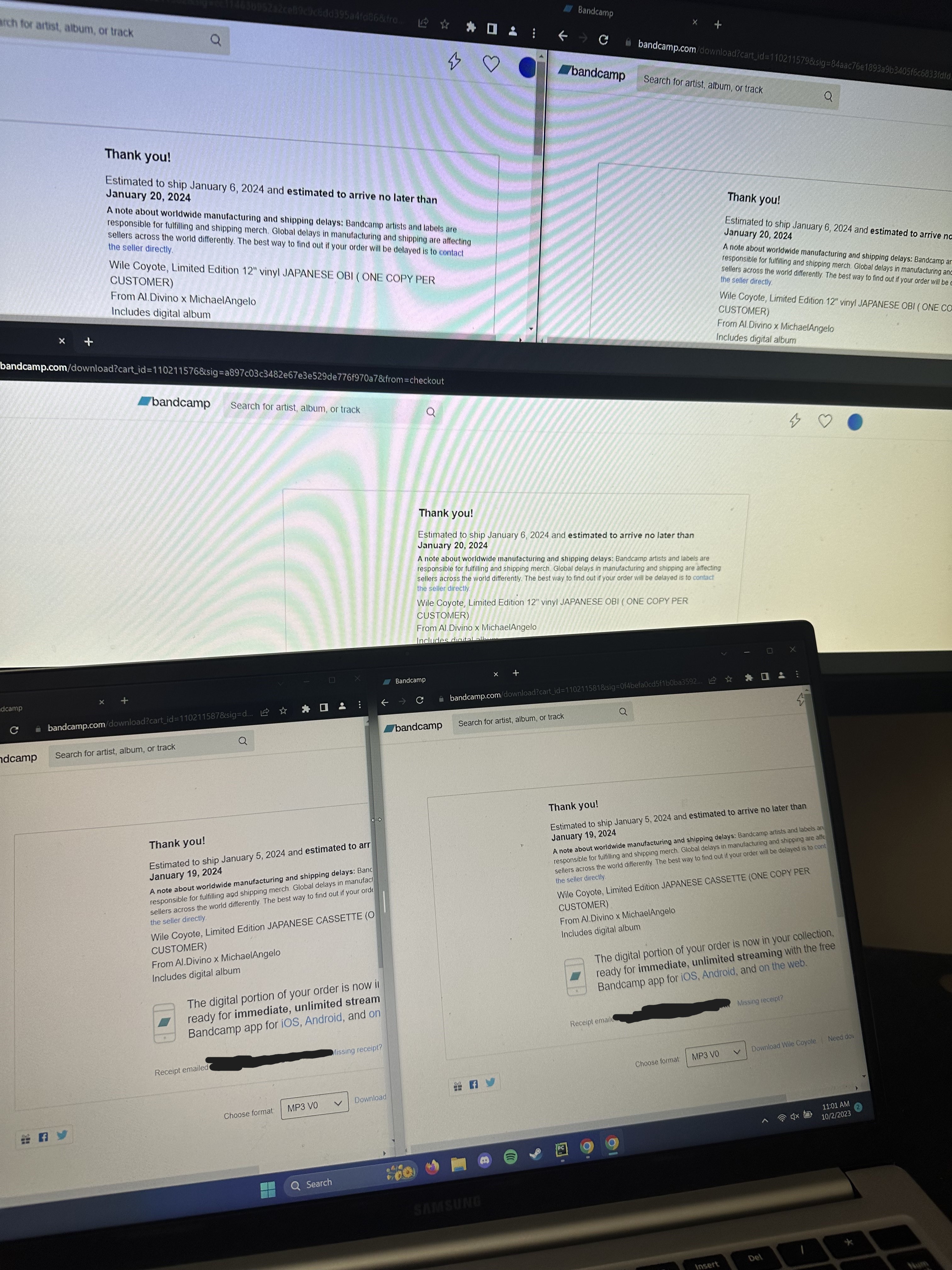 Successful Bandcamp checkout confirmation